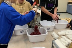 deer-lab-1
