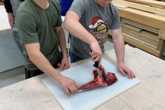 deer-lab-4