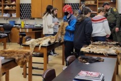 Fur-lesson